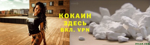 ешки Вязьма