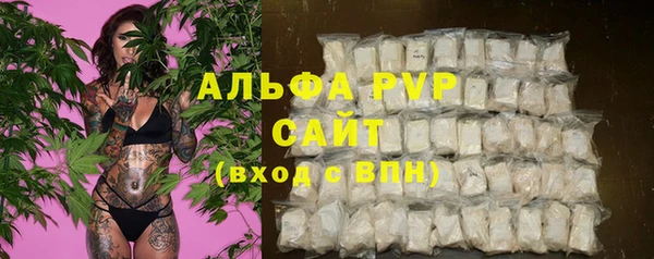 ешки Вязьма