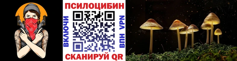 Псилоцибиновые грибы Psilocybine cubensis  Купить где  Костерёво 